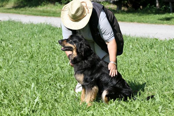 vorbereiten zum Fährten